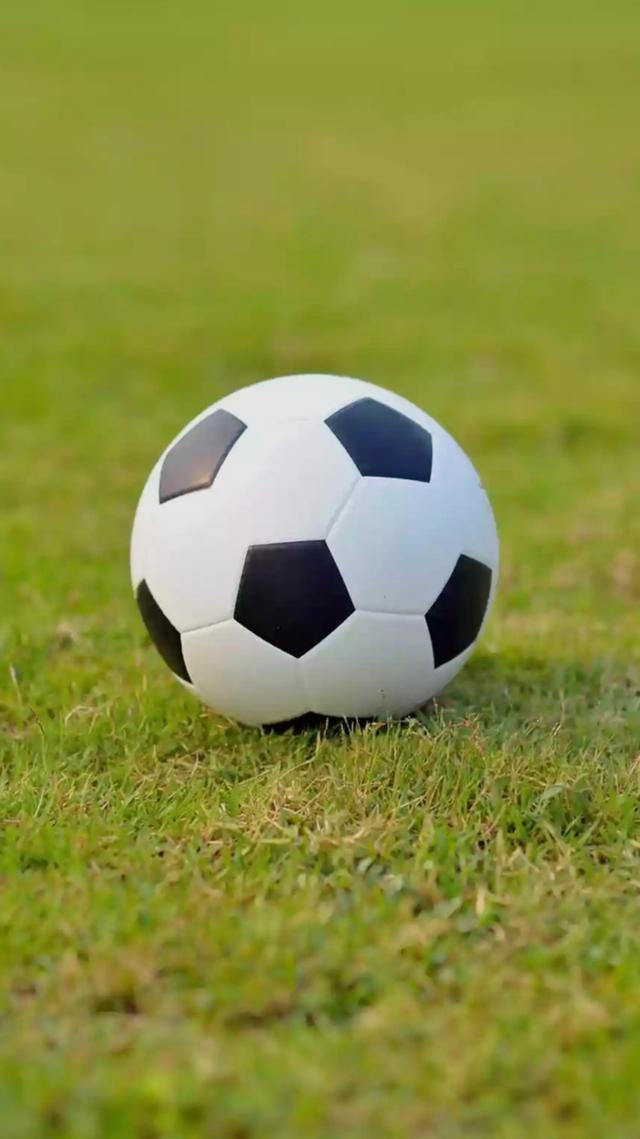 普通观众快速查询比分